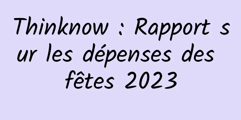 Thinknow : Rapport sur les dépenses des fêtes 2023