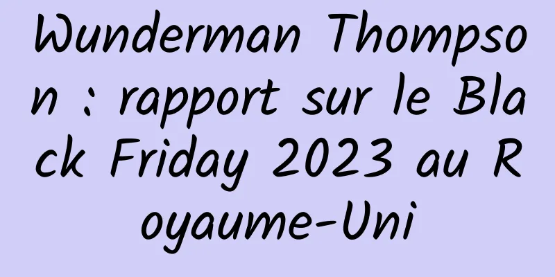 Wunderman Thompson : rapport sur le Black Friday 2023 au Royaume-Uni