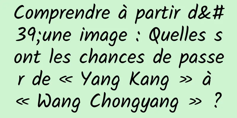 Comprendre à partir d'une image : Quelles sont les chances de passer de « Yang Kang » à « Wang Chongyang » ?
