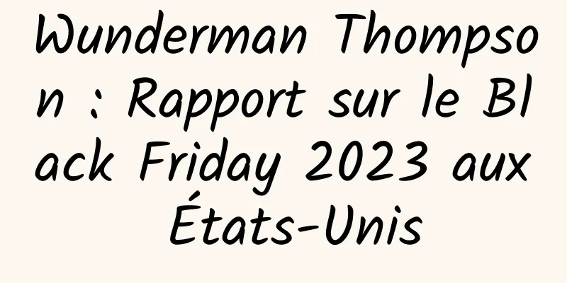 Wunderman Thompson : Rapport sur le Black Friday 2023 aux États-Unis