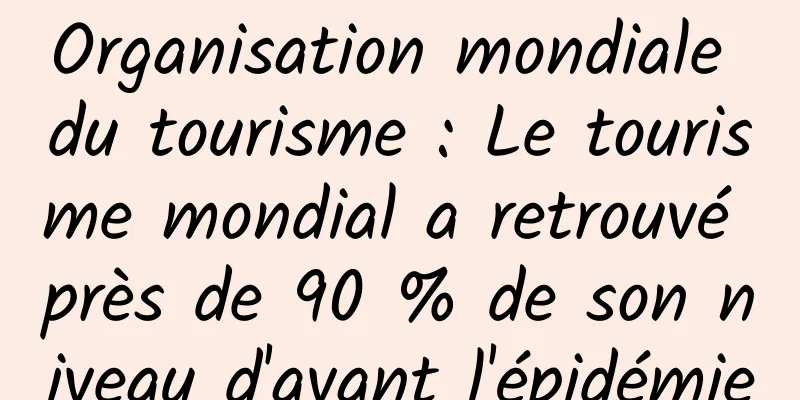 Organisation mondiale du tourisme : Le tourisme mondial a retrouvé près de 90 % de son niveau d'avant l'épidémie