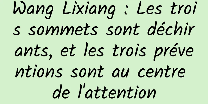 Wang Lixiang : Les trois sommets sont déchirants, et les trois préventions sont au centre de l'attention