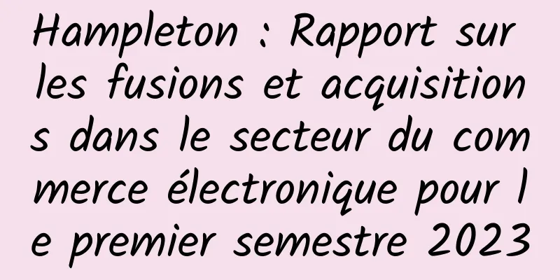 Hampleton : Rapport sur les fusions et acquisitions dans le secteur du commerce électronique pour le premier semestre 2023