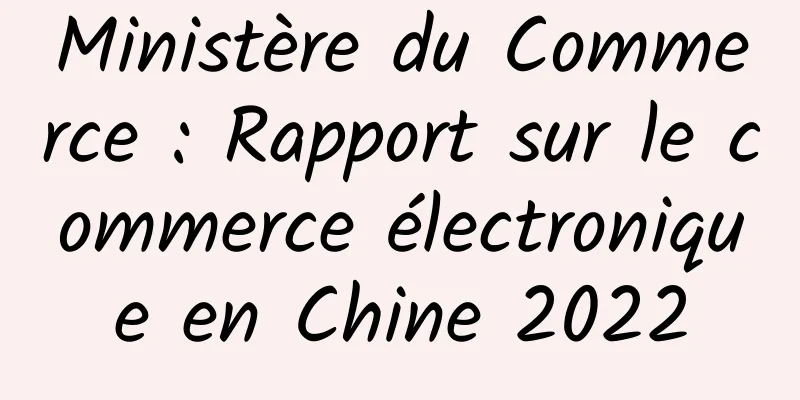 Ministère du Commerce : Rapport sur le commerce électronique en Chine 2022
