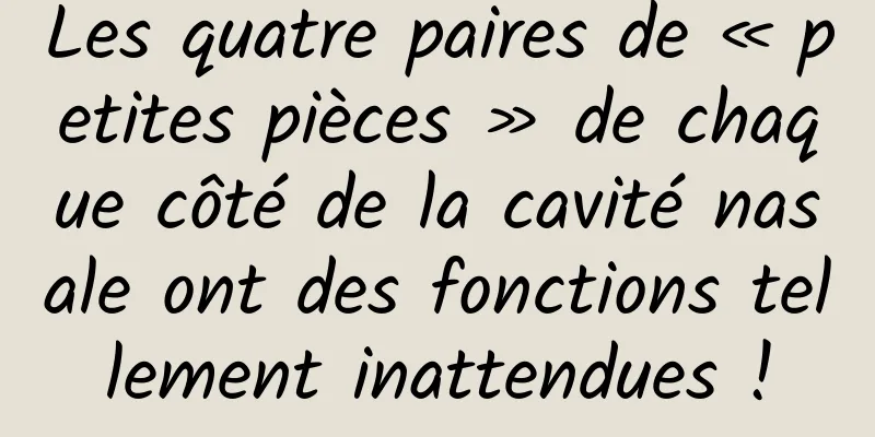 Les quatre paires de « petites pièces » de chaque côté de la cavité nasale ont des fonctions tellement inattendues !