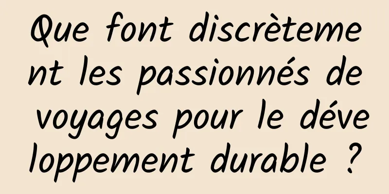 Que font discrètement les passionnés de voyages pour le développement durable ?