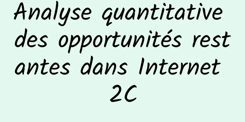 Analyse quantitative des opportunités restantes dans Internet 2C