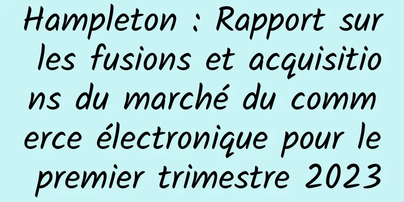 Hampleton : Rapport sur les fusions et acquisitions du marché du commerce électronique pour le premier trimestre 2023