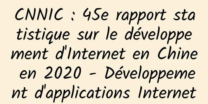 CNNIC : 45e rapport statistique sur le développement d'Internet en Chine en 2020 - Développement d'applications Internet