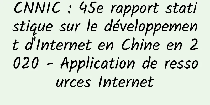 CNNIC : 45e rapport statistique sur le développement d'Internet en Chine en 2020 - Application de ressources Internet