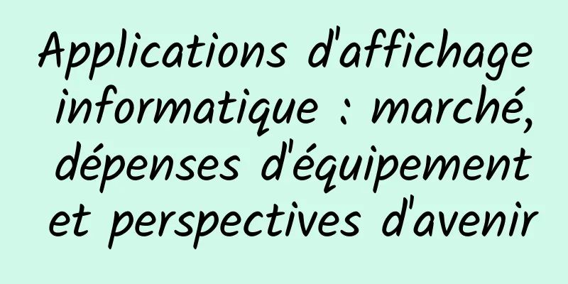 Applications d'affichage informatique : marché, dépenses d'équipement et perspectives d'avenir