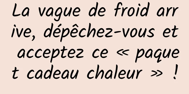 La vague de froid arrive, dépêchez-vous et acceptez ce « paquet cadeau chaleur » !