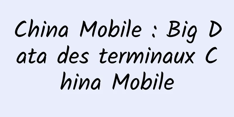 China Mobile : Big Data des terminaux China Mobile