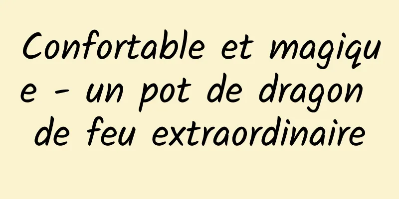 Confortable et magique - un pot de dragon de feu extraordinaire