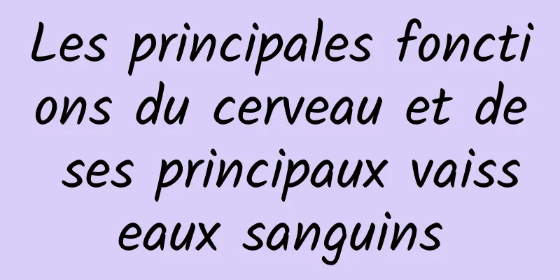 Les principales fonctions du cerveau et de ses principaux vaisseaux sanguins
