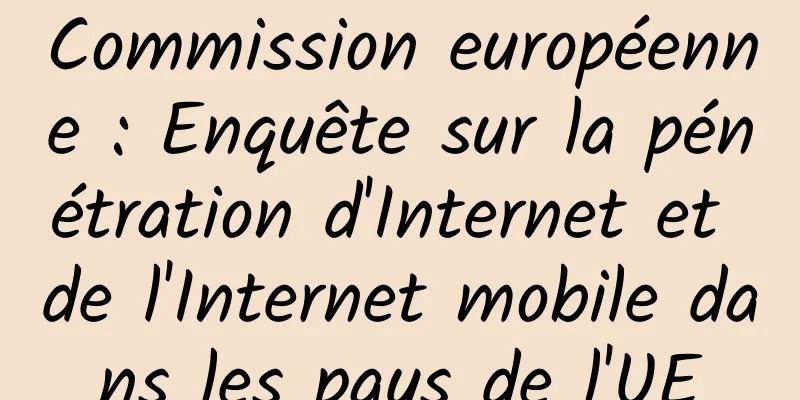 Commission européenne : Enquête sur la pénétration d'Internet et de l'Internet mobile dans les pays de l'UE