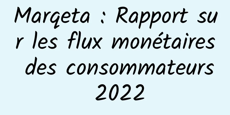 Marqeta : Rapport sur les flux monétaires des consommateurs 2022