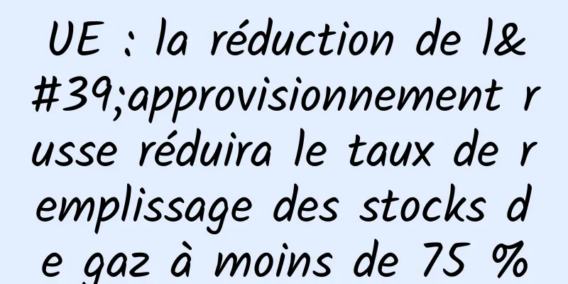 UE : la réduction de l'approvisionnement russe réduira le taux de remplissage des stocks de gaz à moins de 75 %
