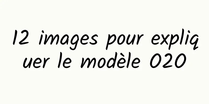12 images pour expliquer le modèle O2O
