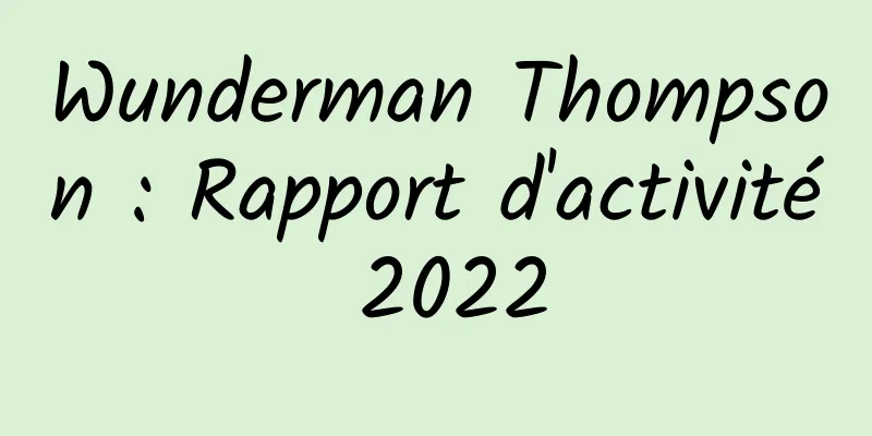 Wunderman Thompson : Rapport d'activité 2022
