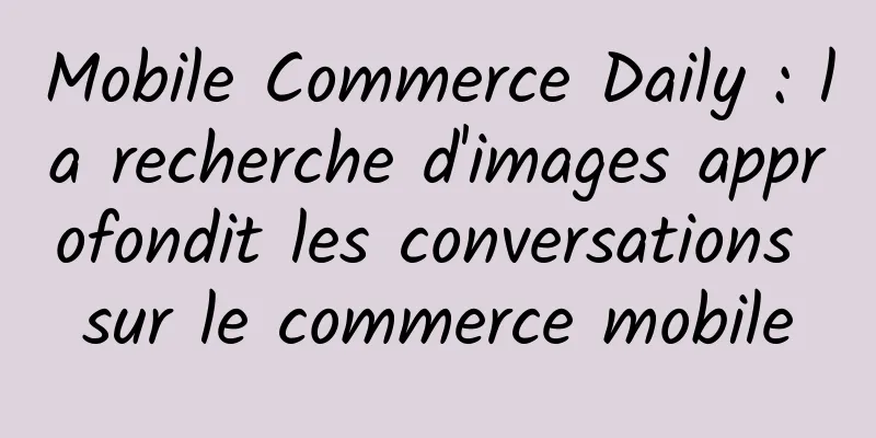Mobile Commerce Daily : la recherche d'images approfondit les conversations sur le commerce mobile