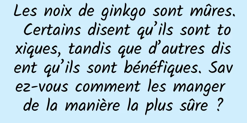 Les noix de ginkgo sont mûres. Certains disent qu’ils sont toxiques, tandis que d’autres disent qu’ils sont bénéfiques. Savez-vous comment les manger de la manière la plus sûre ?
