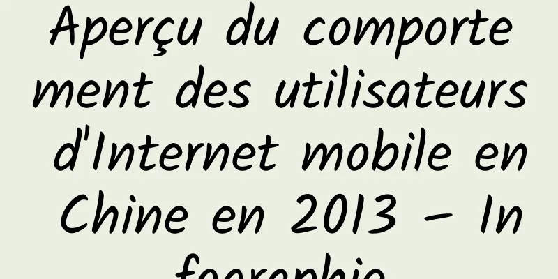 Aperçu du comportement des utilisateurs d'Internet mobile en Chine en 2013 – Infographie