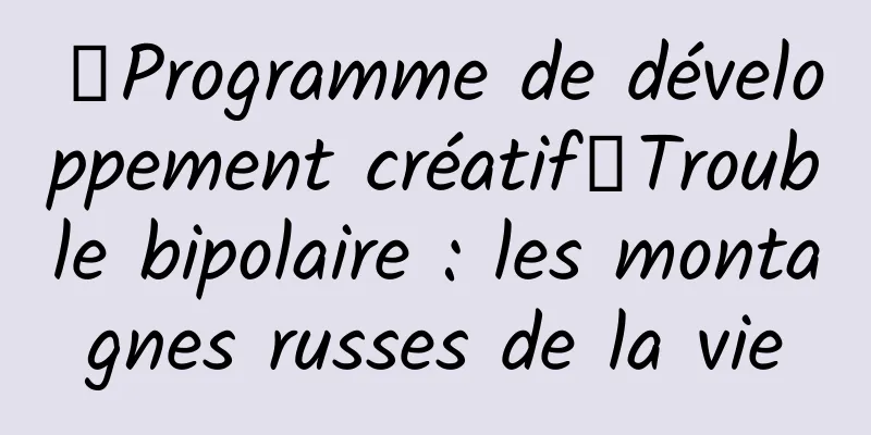 【Programme de développement créatif】Trouble bipolaire : les montagnes russes de la vie
