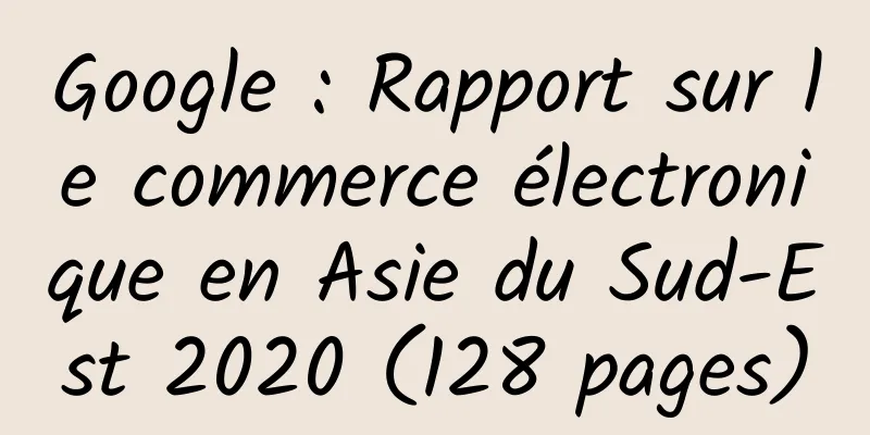 Google : Rapport sur le commerce électronique en Asie du Sud-Est 2020 (128 pages)