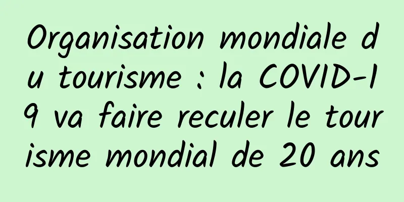 Organisation mondiale du tourisme : la COVID-19 va faire reculer le tourisme mondial de 20 ans