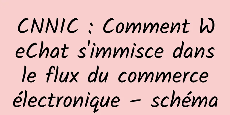 CNNIC : Comment WeChat s'immisce dans le flux du commerce électronique – schéma