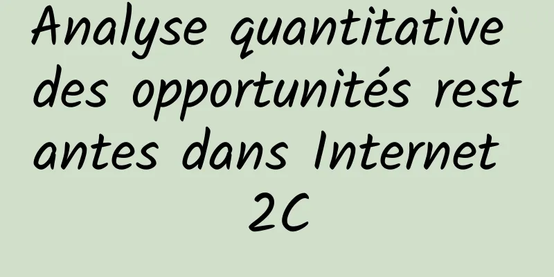 Analyse quantitative des opportunités restantes dans Internet 2C