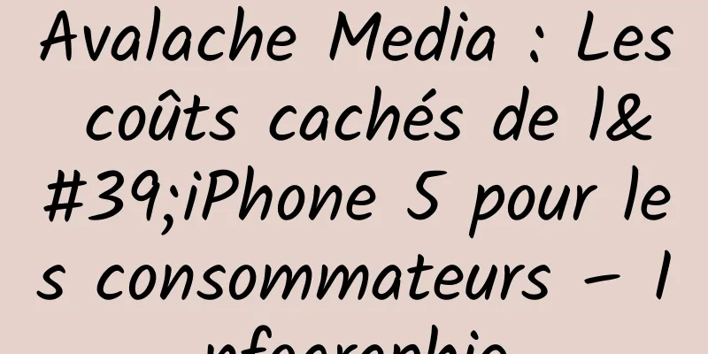 Avalache Media : Les coûts cachés de l'iPhone 5 pour les consommateurs – Infographie