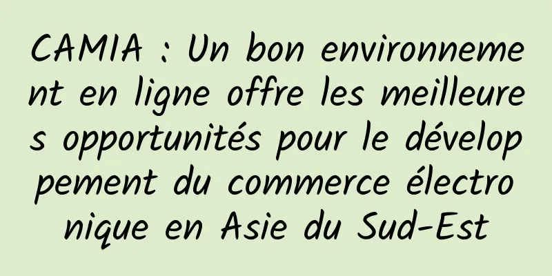 CAMIA : Un bon environnement en ligne offre les meilleures opportunités pour le développement du commerce électronique en Asie du Sud-Est