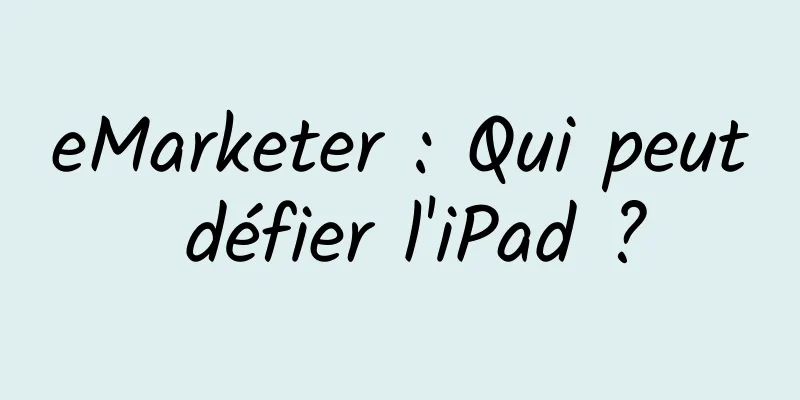 eMarketer : Qui peut défier l'iPad ?