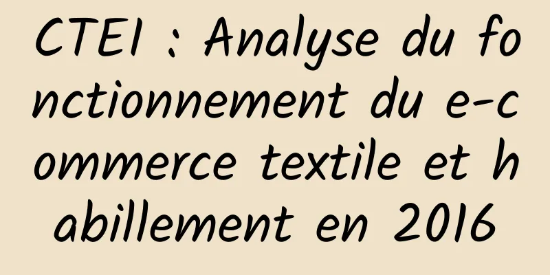 CTEI : Analyse du fonctionnement du e-commerce textile et habillement en 2016