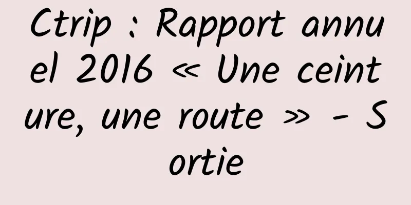 Ctrip : Rapport annuel 2016 « Une ceinture, une route » - Sortie