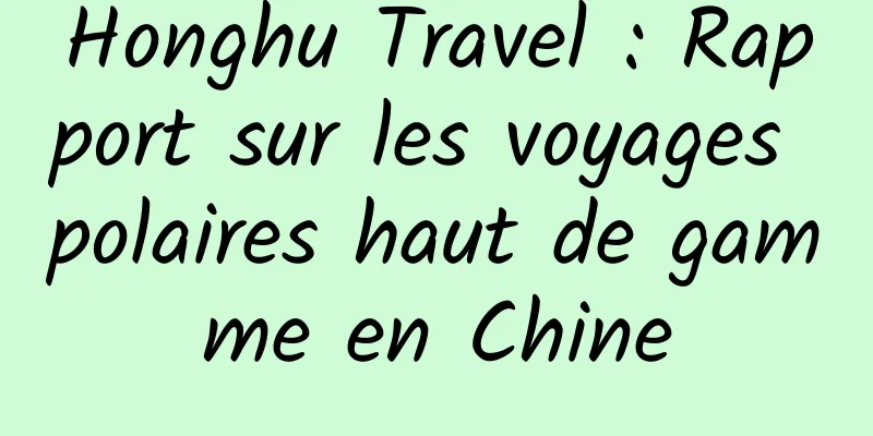 Honghu Travel : Rapport sur les voyages polaires haut de gamme en Chine