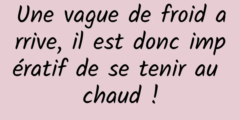 Une vague de froid arrive, il est donc impératif de se tenir au chaud !