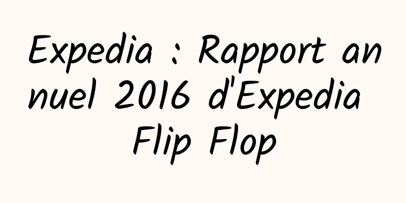Expedia : Rapport annuel 2016 d'Expedia Flip Flop