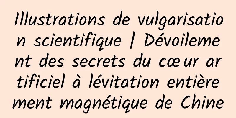 Illustrations de vulgarisation scientifique | Dévoilement des secrets du cœur artificiel à lévitation entièrement magnétique de Chine