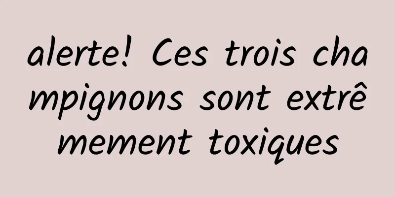 alerte! Ces trois champignons sont extrêmement toxiques