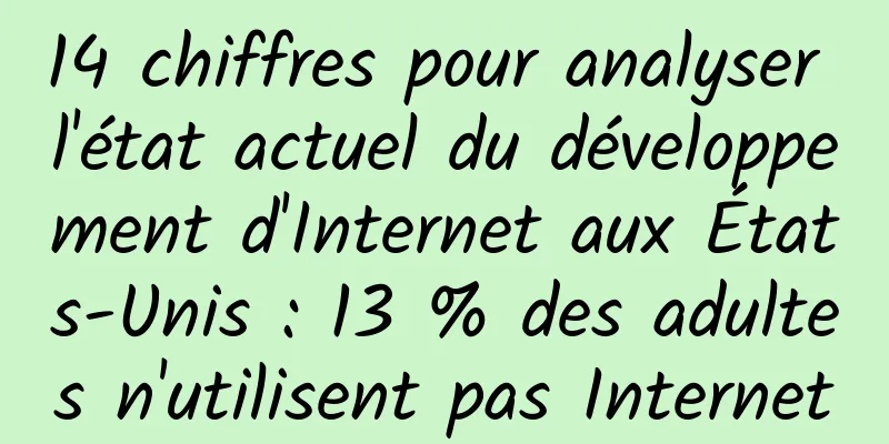 14 chiffres pour analyser l'état actuel du développement d'Internet aux États-Unis : 13 % des adultes n'utilisent pas Internet
