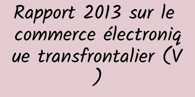 Rapport 2013 sur le commerce électronique transfrontalier (V)