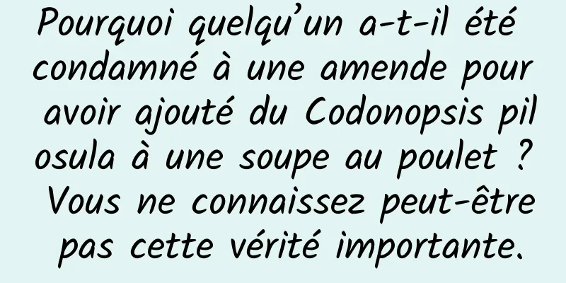 Pourquoi quelqu’un a-t-il été condamné à une amende pour avoir ajouté du Codonopsis pilosula à une soupe au poulet ? Vous ne connaissez peut-être pas cette vérité importante.
