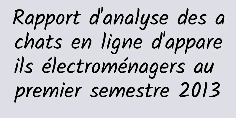 Rapport d'analyse des achats en ligne d'appareils électroménagers au premier semestre 2013