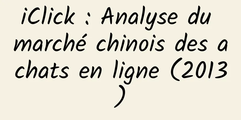 iClick : Analyse du marché chinois des achats en ligne (2013)