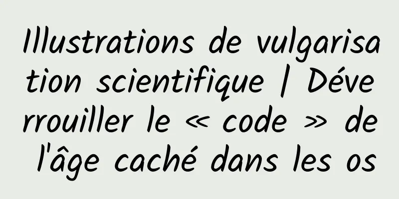 Illustrations de vulgarisation scientifique | Déverrouiller le « code » de l'âge caché dans les os