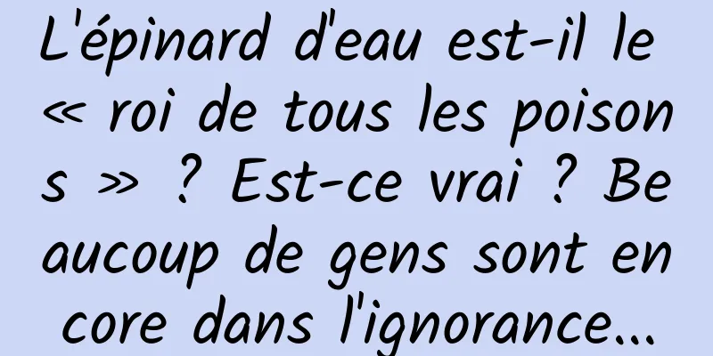 L'épinard d'eau est-il le « roi de tous les poisons » ? Est-ce vrai ? Beaucoup de gens sont encore dans l'ignorance...