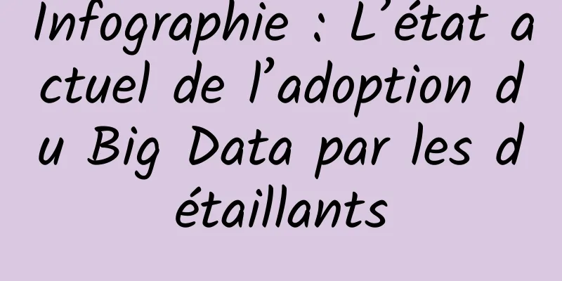 Infographie : L’état actuel de l’adoption du Big Data par les détaillants